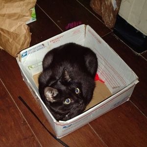 Meet your Posher, Kyle